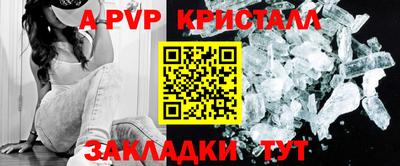 гашик Тара